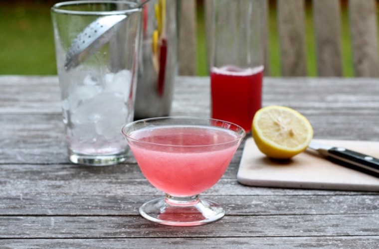 fig-and-fennel-shrub